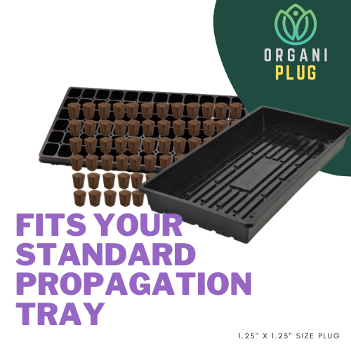 Ventana Plant Science OrganiPlug seed and cutting plugs in standard tray for propagation and growing media by GrowersHouse.