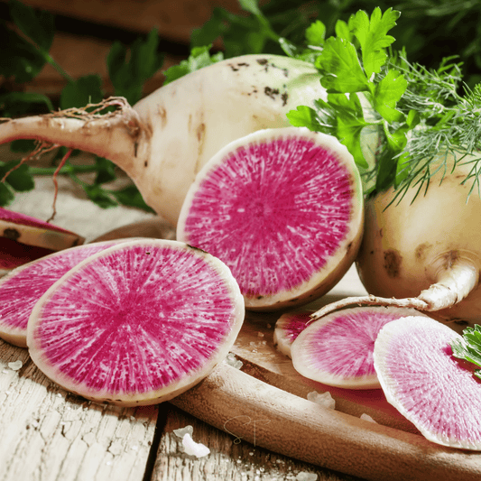 Packet of Watermelon Radish seeds from Southern Seeds, showing vibrant pink and green radish seeds in a clear packet.