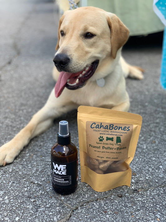 WE Made Lavender Lemongrass Stinky Dog Spray bottle with spray nozzle, designed to freshen and deodorize dogs.