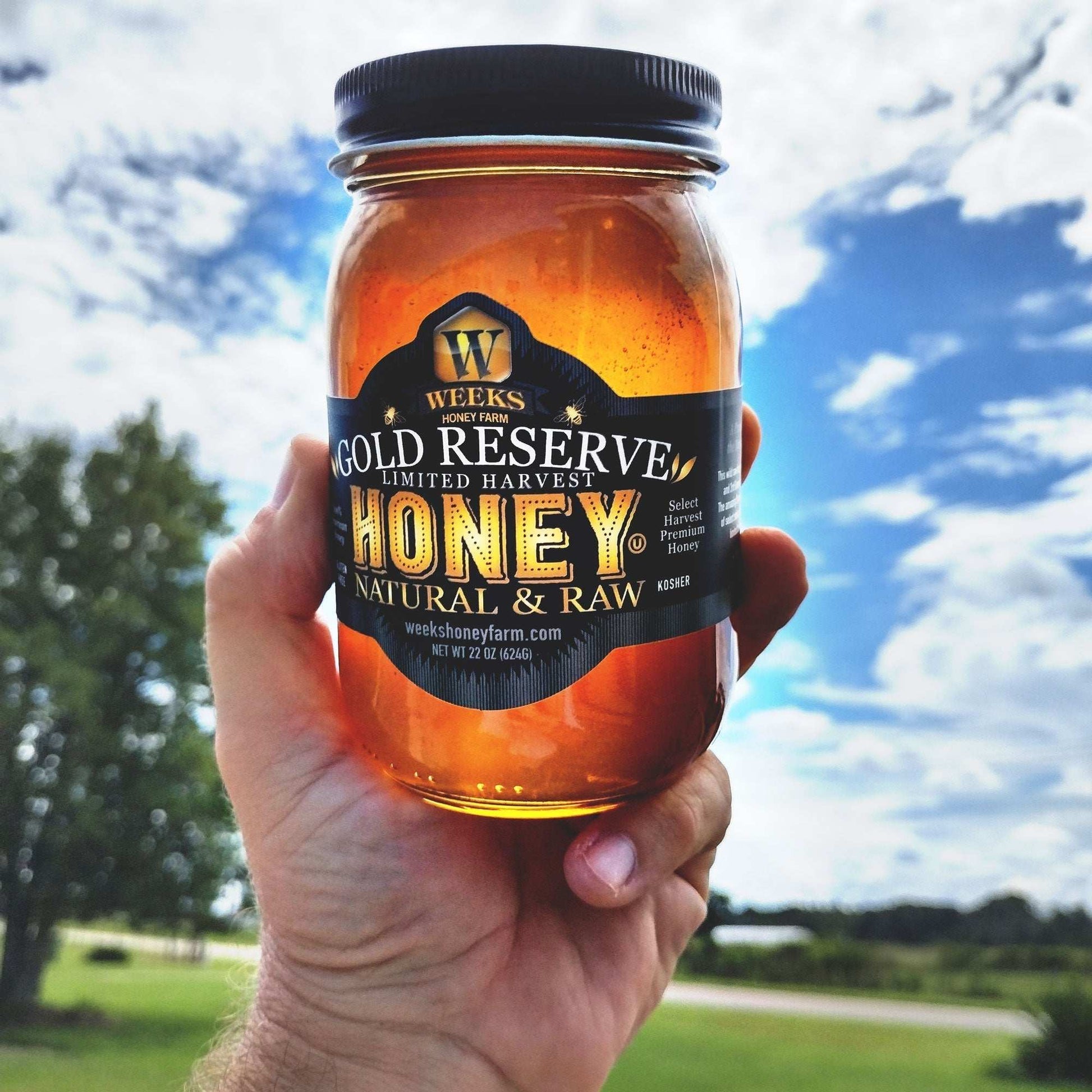 A hand holds up a jar of Weeks Raw Gold Reserve Honey, Special Edition—unfiltered natural honey from Georgia by Weeks Honey Farm—against a bright blue sky with clouds and green landscape in the background.