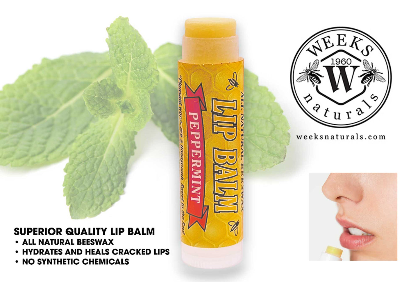 A tube of Weeks Honey Farm’s All Natural Beeswax Lip Balm is shown with mint leaves. Highlighted are its pure, healing formula with no synthetic chemicals. A person applies this soothing moisturizer to their lips. Available in singles, twin packs, and by case.
