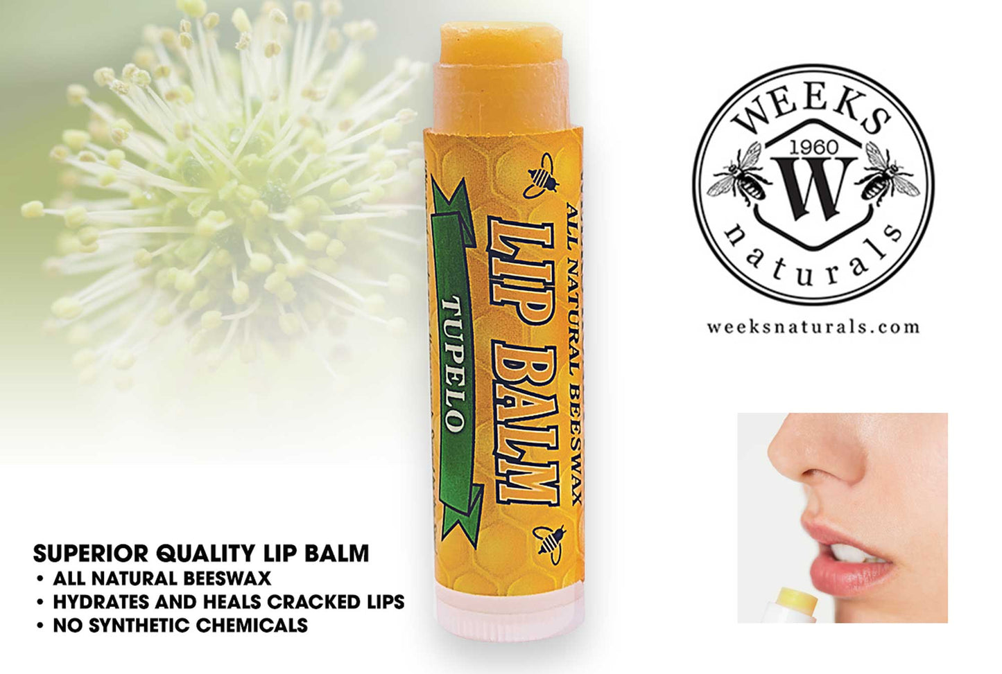 A yellow tube of Weeks All Natural Beeswax Lip Balm stands upright as a person applies this nourishing moisturizer. The label displays the Weeks Honey Farm logo and product benefits, available in Singles, Twin Packs, or Case.