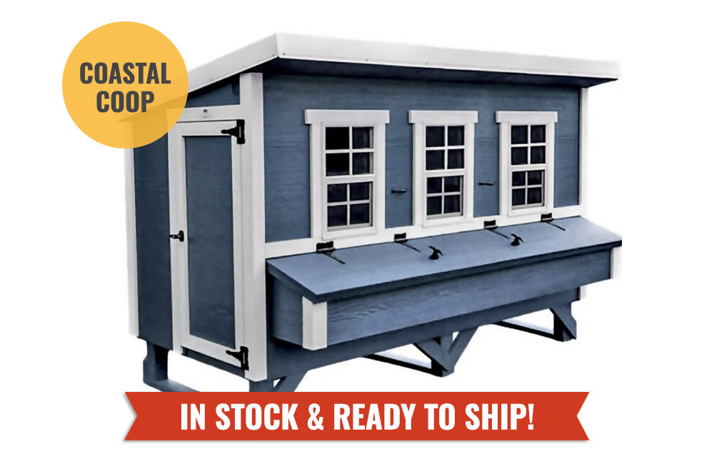 Blue XL Chicken Coop by OverEZ with spacious design, suitable for up to 20 chickens, featuring windows and a secure door.