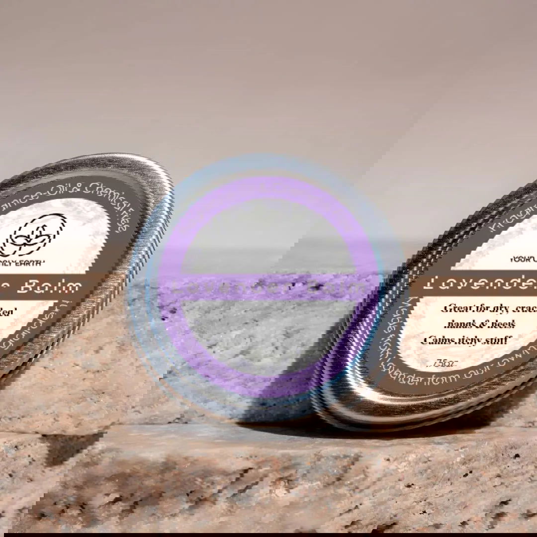 Two silver coins with intricate designs stand upright on stone, overlapped by a faint purple and blue circle reminiscent of organic lavender—evoking the calming essence of Your Only Earth’s Lavender Balm.