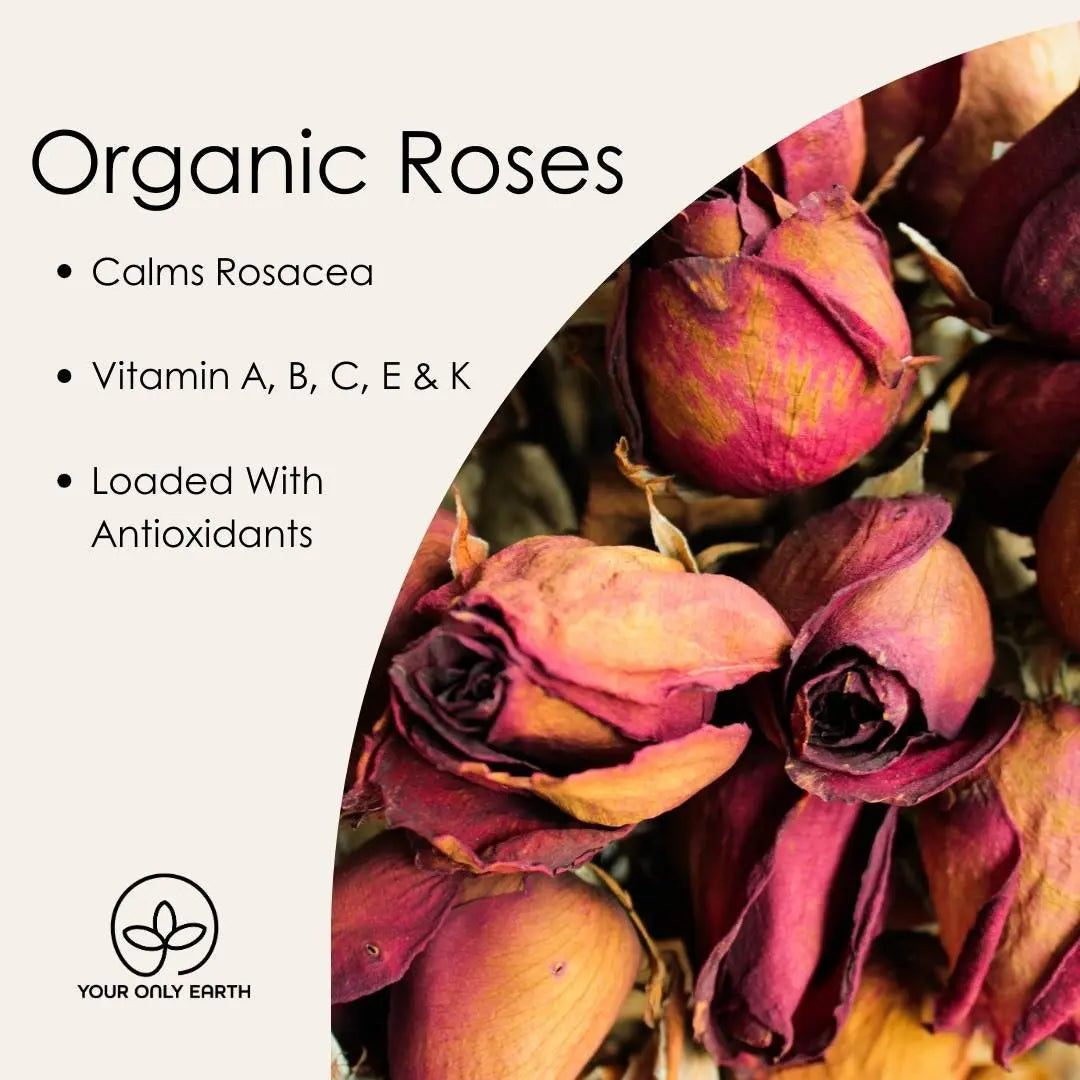 On the right, dried red roses; on the left, Rose Coconut Oil by Your Only Earth promotes benefits like calming rosacea and vitamins A, B, C, E, & K for nourished skin. Ideal as an antioxidant-rich body oil. A circular logo with a plant icon sits at the bottom.