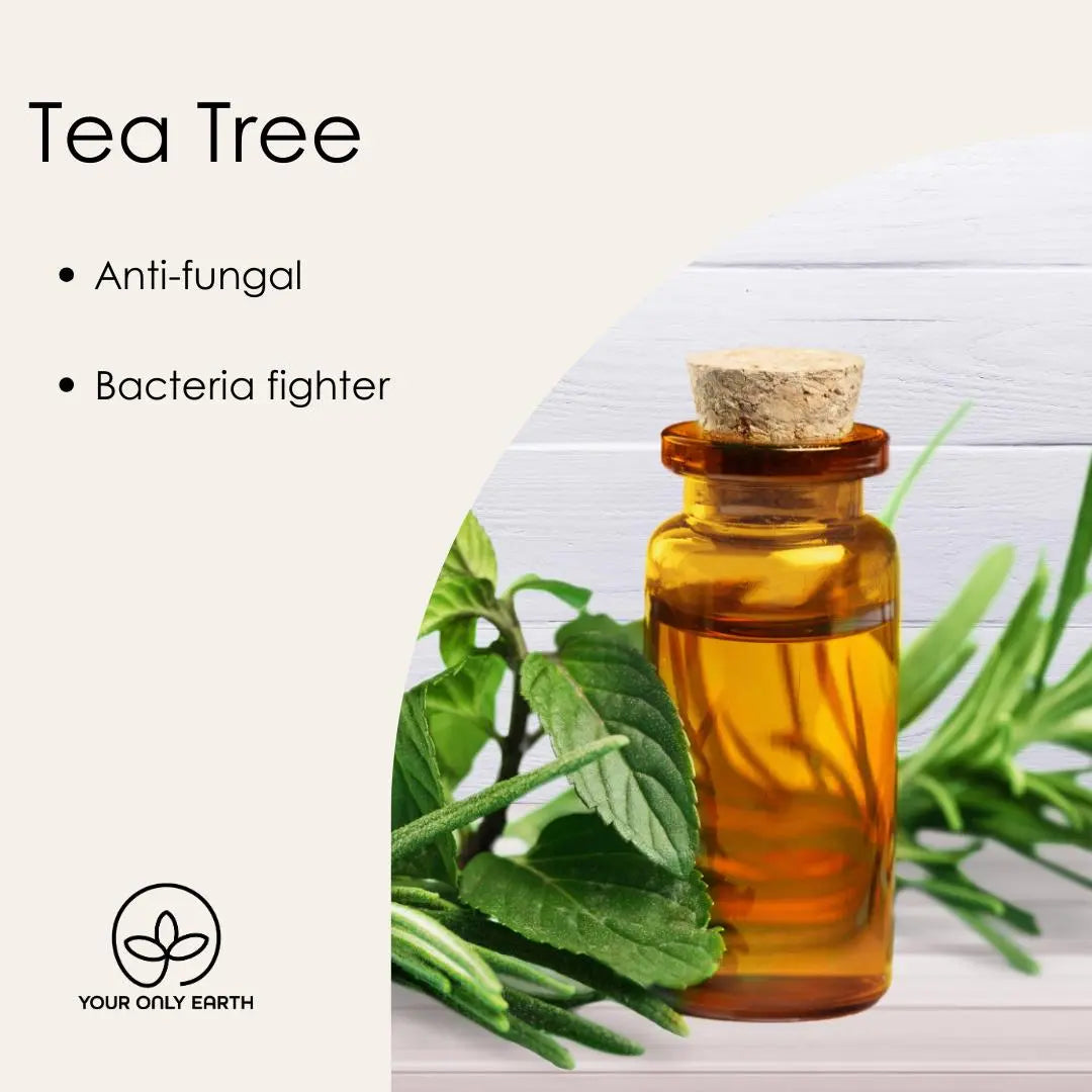 A glass bottle with amber liquid and a cork stopper sits among green leaves. Text reads: Deodorant Balm - Anti-fungal - Bacteria fighter. A logo in the bottom-left corner says Your Only Earth, ensuring a non-irritating experience.