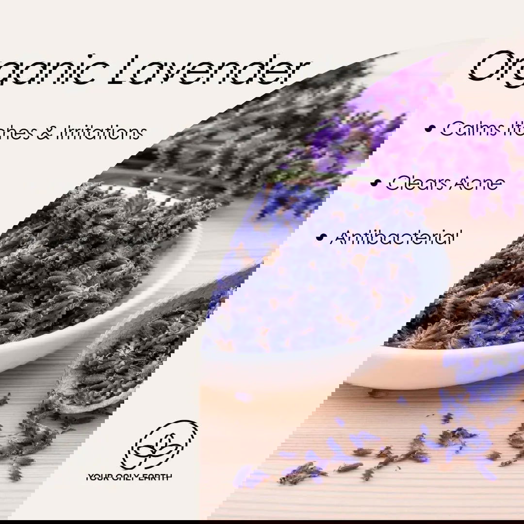 A bowl of dried lavender sits by fresh sprigs on a wooden table. Text highlights Your Only Earth Exfoliator, made with organic lavender to calm nerves and boost aromatherapy—ideal for pairing with your favorite face cleanser.