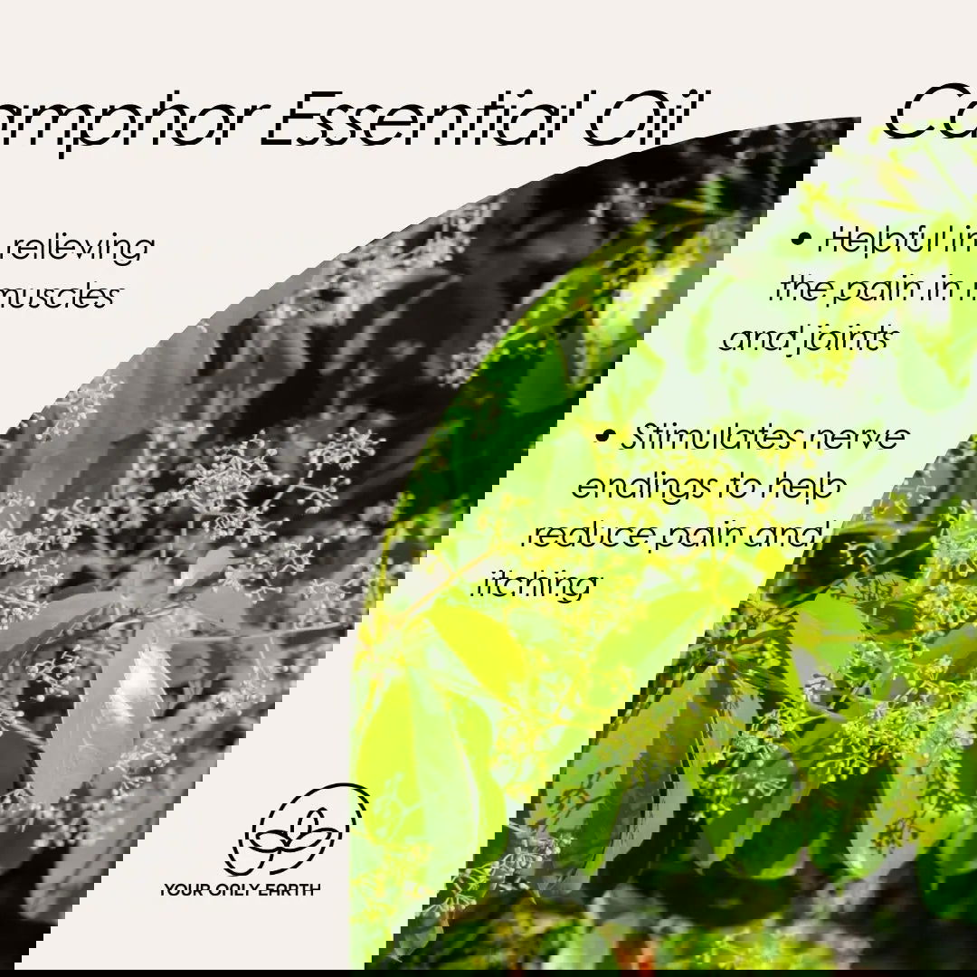 Gramma's Salve - Blessings Grow Meadows