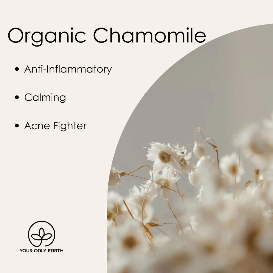 A soft-focus image of dried chamomile flowers lists benefits—Anti-Inflammatory, Calming, Acne Fighter—ideal for acne and rosacea. The title reads Maui Magic Beauty Oil, with a minimalist Your Only Earth logo at the bottom left.