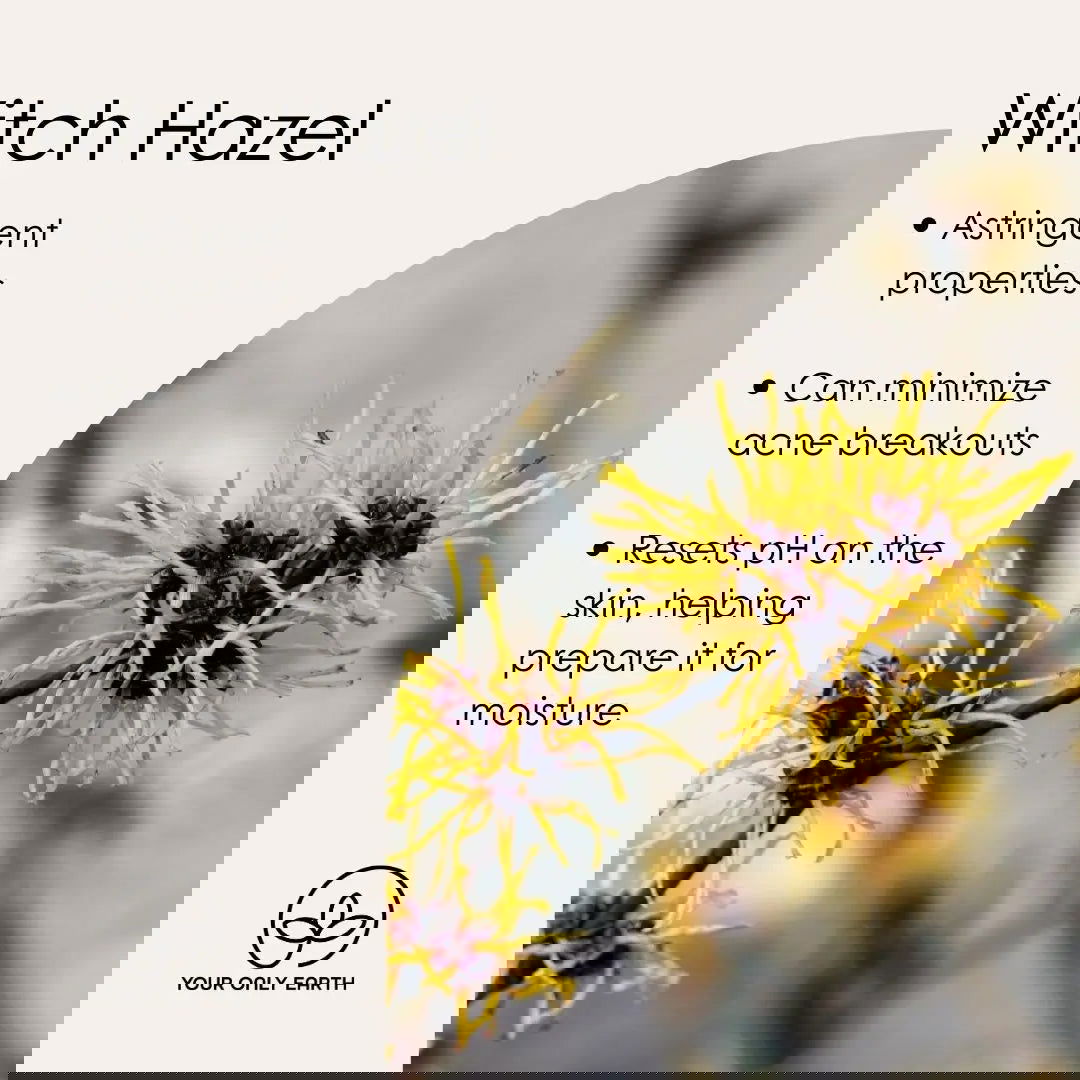 A stylized, abstract graphic showcases two botanically-inspired images split by a diagonal line, blurred text, and yellow accents; “Witch Hazel” suggests the Toner by Your Only Earth serves as a natural botanical skincare solution.