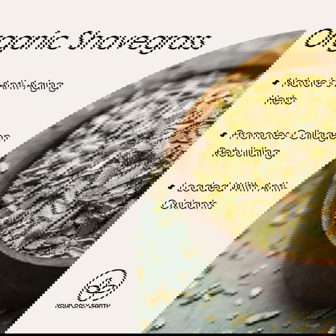 A close-up of dried moringa leaves and powder in dark bowls on a light background, overlaid with stylized text—Your Only Earth Toner, perfect inspiration for natural skincare or botanical toner routines.