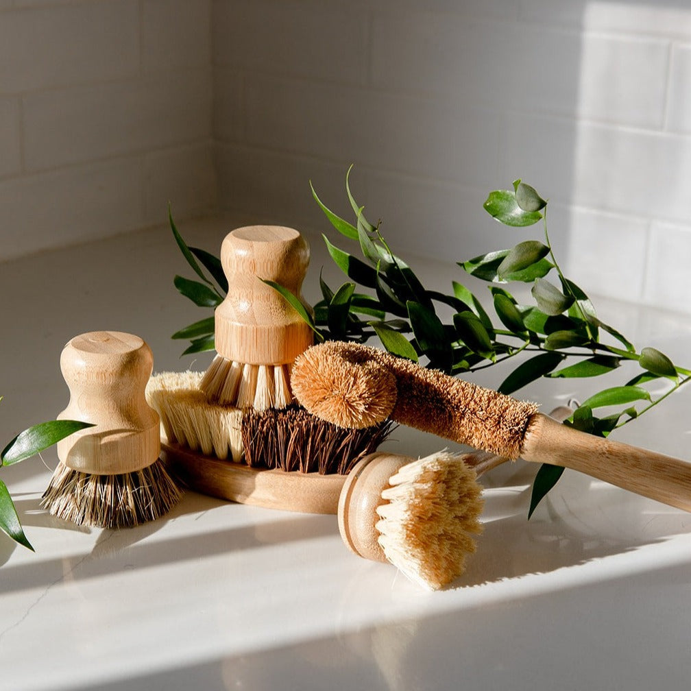 The ZeroWasteStore.com Zero Waste Dish Brush Kit, featuring wooden biodegradable brushes with natural bristles, is displayed on a white countertop with green leafy sprigs in bright sunlight.