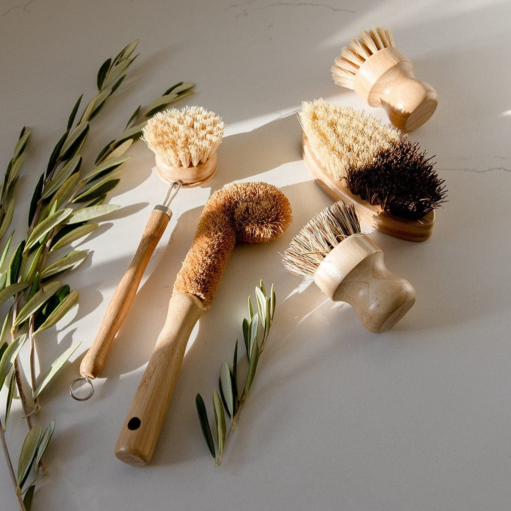 The ZeroWasteStore.com Zero Waste Dish Brush Kit, featuring five wooden-handled, biodegradable brushes with natural bristles, is displayed on a light surface beside green olive branches as sunlight creates soft shadows.