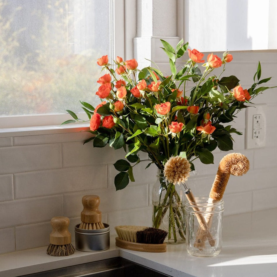 A bouquet of orange roses in a glass vase sits on a kitchen counter by a window, next to the ZeroWasteStore.com Zero Waste Dish Brush Kit, with sunlight streaming in.