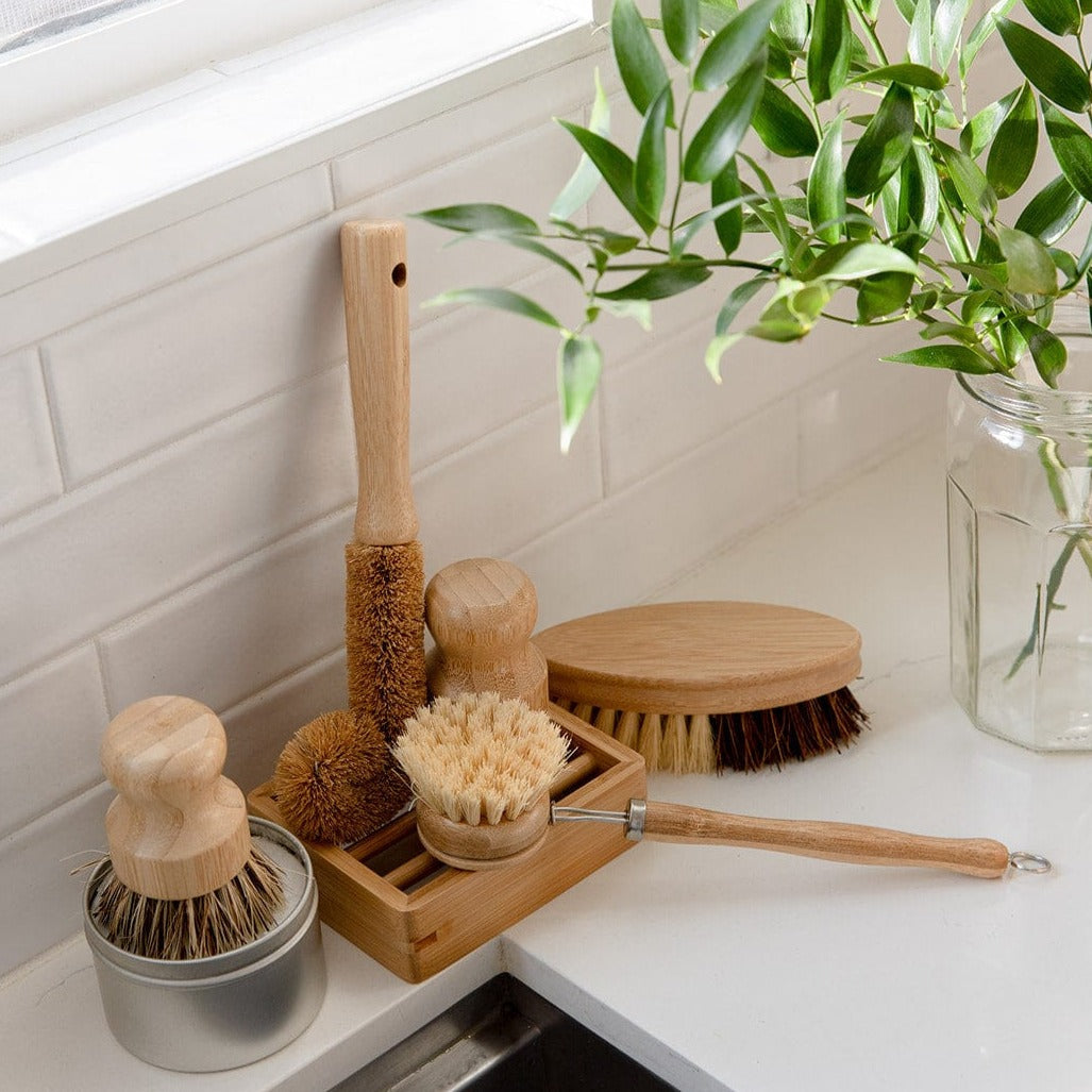 The ZeroWasteStore.com Zero Waste Dish Brush Kit, featuring biodegradable brushes with natural bristles, is displayed on a white kitchen counter near a window and a glass jar filled with green leafy branches.