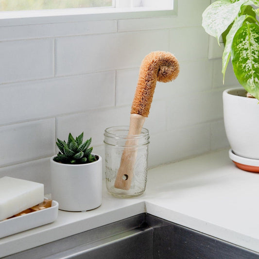The ZeroWasteStore.com Bottle Cleaning Brush stands in a glass jar on a white kitchen counter near a potted succulent, another plant, and a bar of soap beside a stainless steel sink.