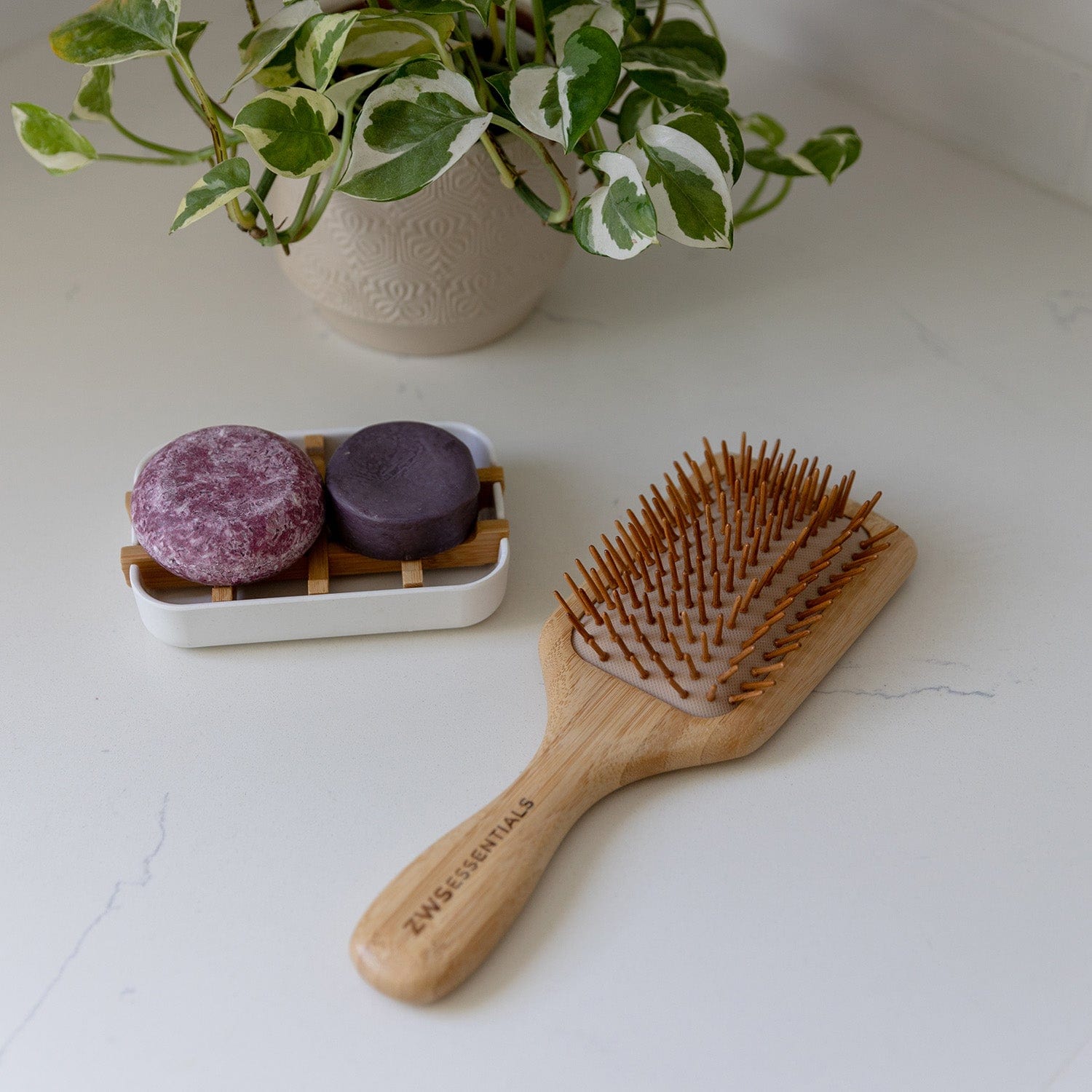 A ZeroWasteStore.com Bamboo Hair Brush, two round shampoo bars in a soap dish, and a potted plant with green and white leaves sit on a white countertop.