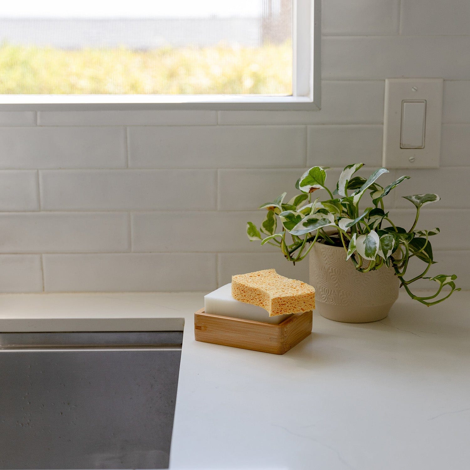 A ZeroWasteStore.com Cellulose Kitchen Sponge rests on a soap dish next to a potted plant on a white counter by the sink, with a window and white subway tile backsplash in the background.