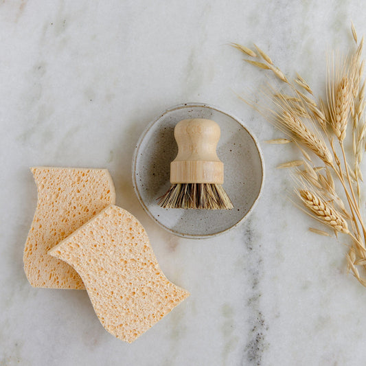 The Dish Sponge Mini Kit by ZeroWasteStore.com, featuring two yellow zero-waste sponges and a round pot scrubbing brush in a small gray dish, is displayed with dried wheat stalks on a white marble surface.