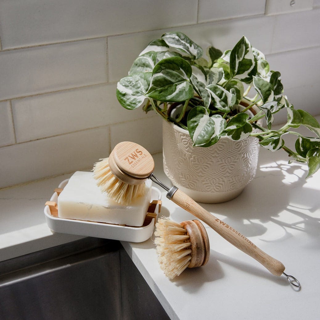 A white tiled kitchen counter with a potted plant, a bar of soap in a white dish, and two ZeroWasteStore.com Long Handle Dish Brushes with replaceable agave bristles resting nearby. Sunlight streams in from a nearby window.