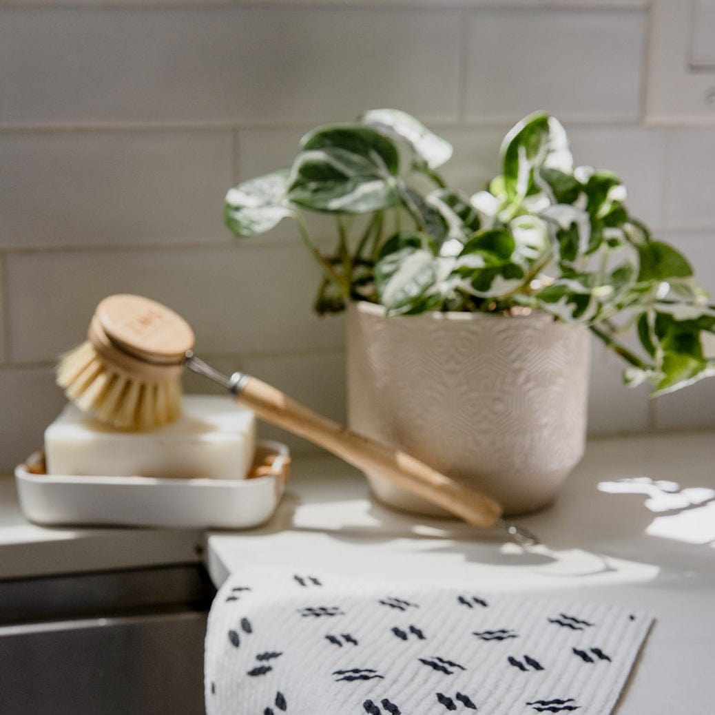 A potted plant sits on a kitchen counter next to the ZeroWasteStore.com Long Handle Dish Brush with a replaceable agave bristle and a wooden bar of soap. A white towel with black patterns is draped over the counter's edge.