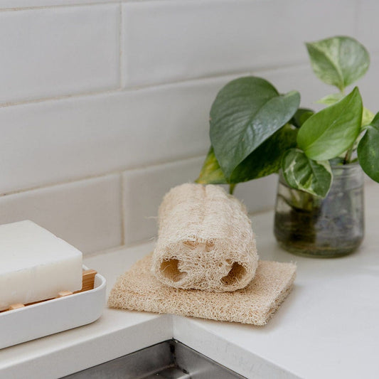 The Loofah Sponge Pack by ZeroWasteStore.com and a bar of soap rest on a white countertop next to a green potted plant in a glass jar, with a white tiled backsplash in the background.